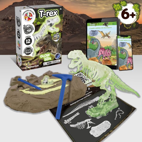 Fossil Excavation Kit V. Lernspiel lieferung inklusive einer faltbaren geschenktasche aus 190T