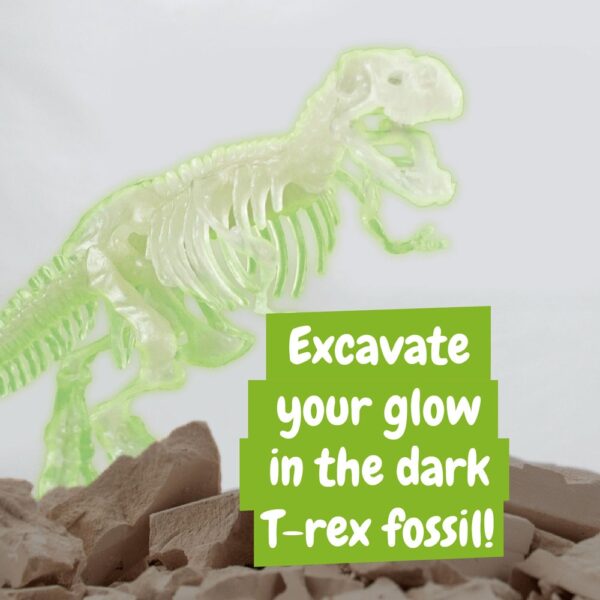 Fossil Excavation Kit V. Lernspiel lieferung inklusive einer faltbaren geschenktasche aus 190T