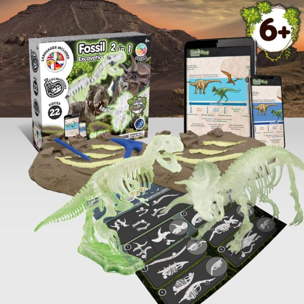 2 in 1 Fossil Excavation Kit V. Lernspiel lieferung inklusive einer faltbaren geschenktasche aus 190T